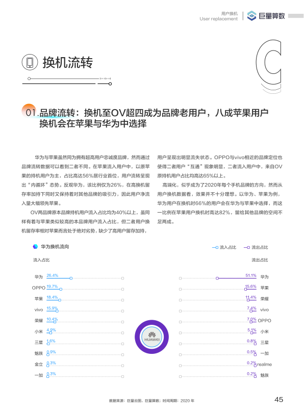 报告页面46