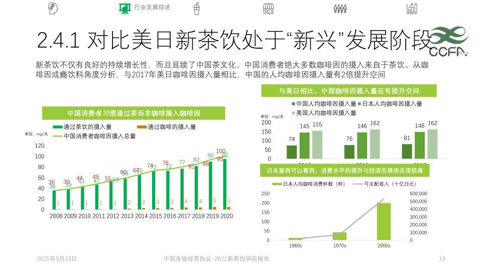 报告页面13