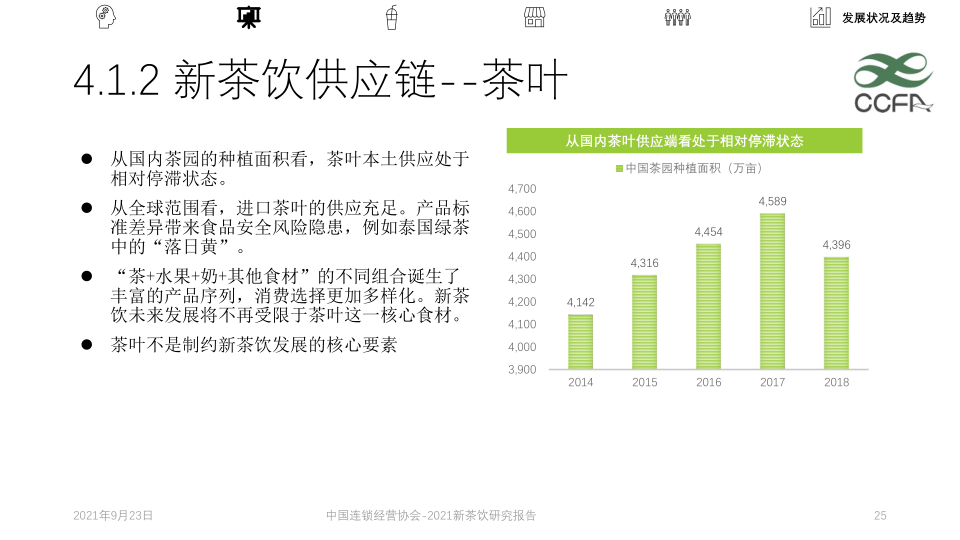 报告页面25