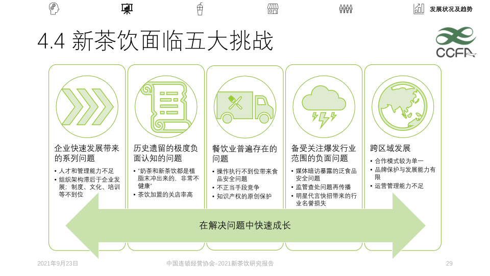 报告页面29