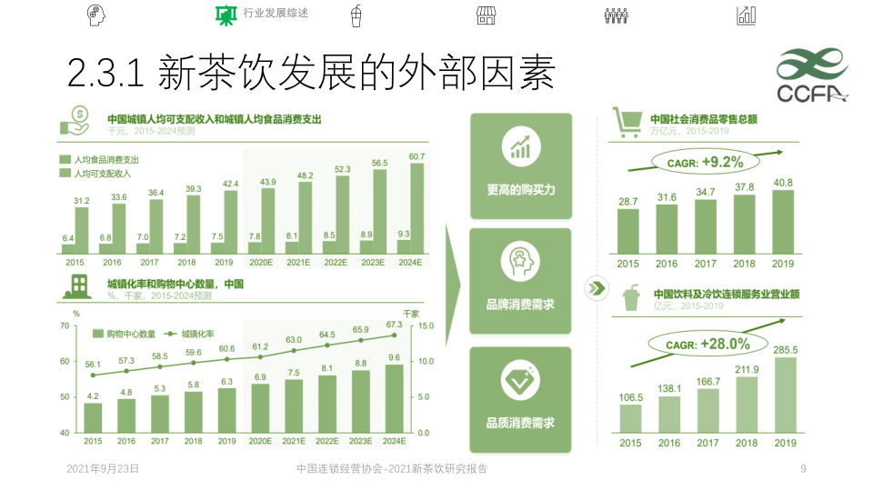 报告页面9