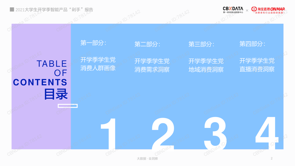 报告页面2