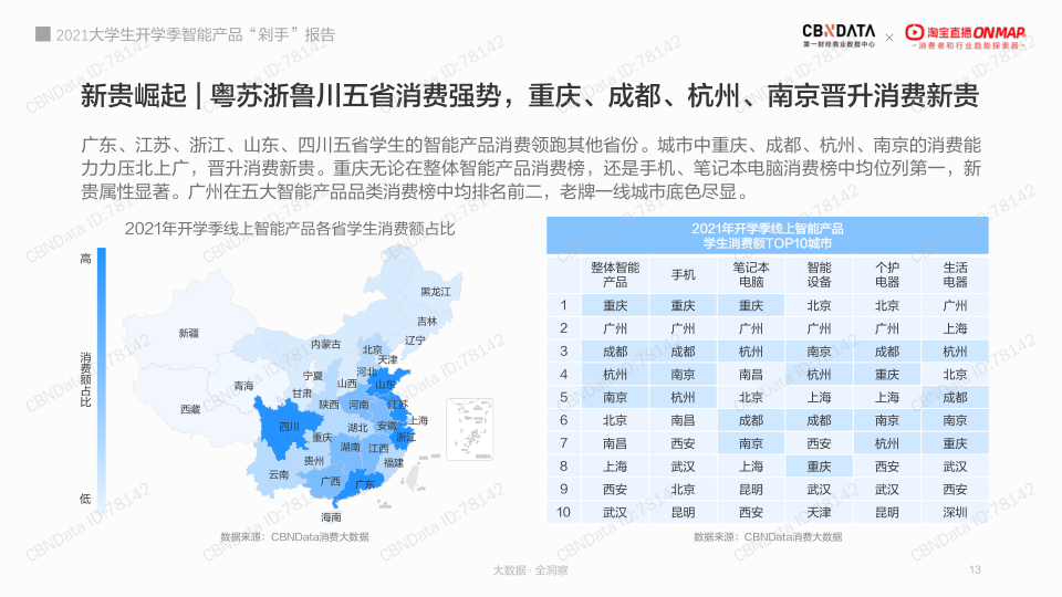 报告页面13