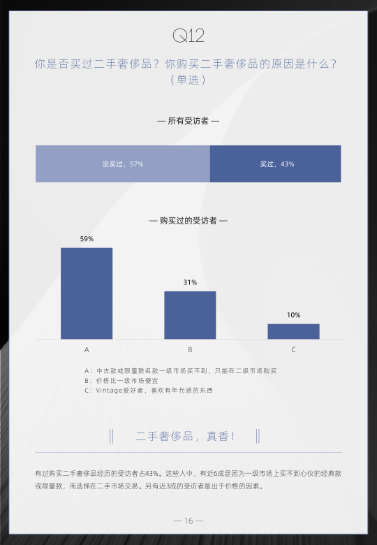 报告页面16