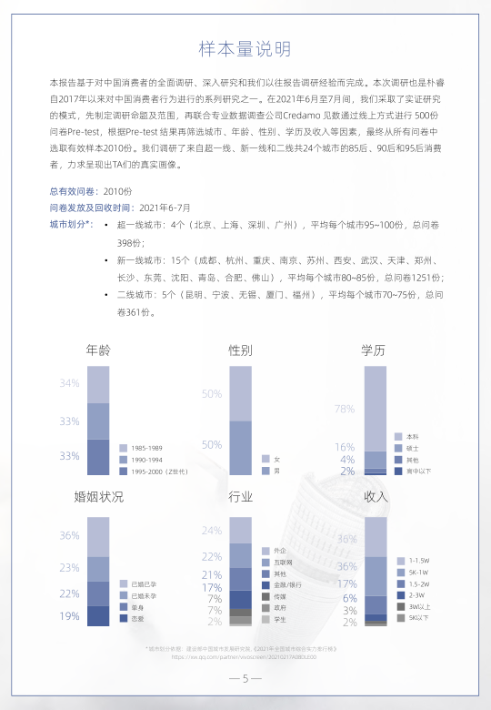 报告页面5