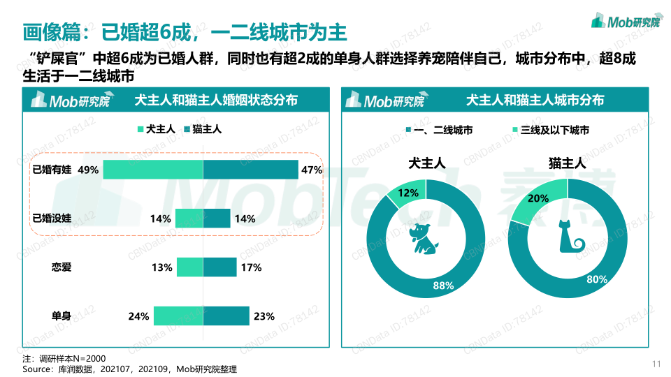 报告页面11