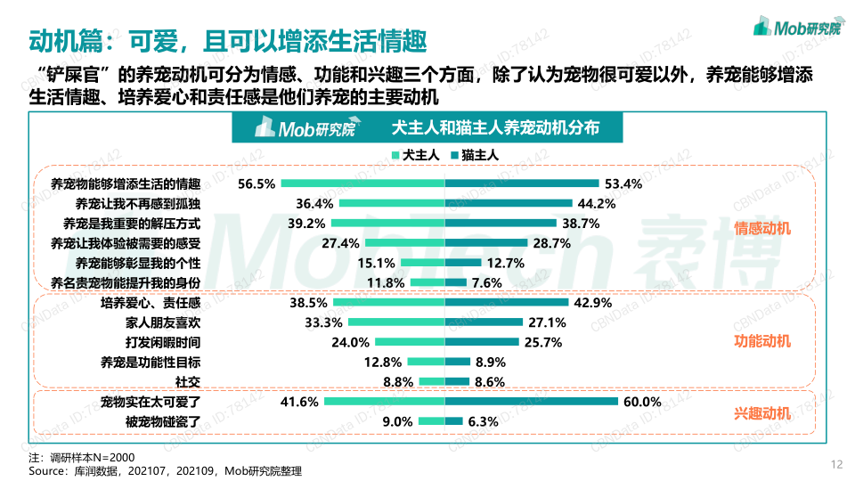 报告页面12