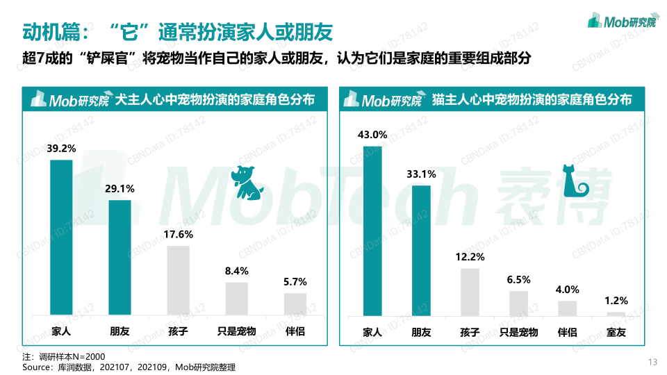 报告页面13