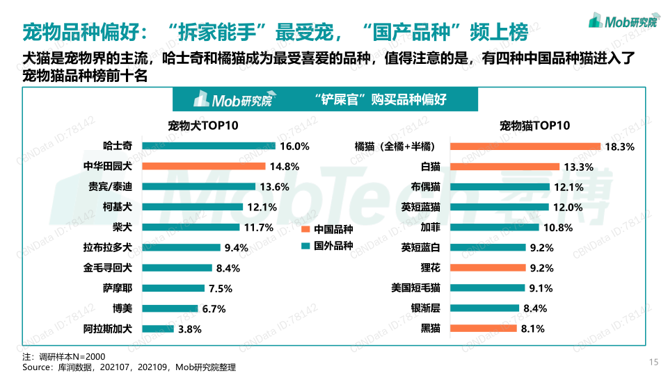 报告页面15