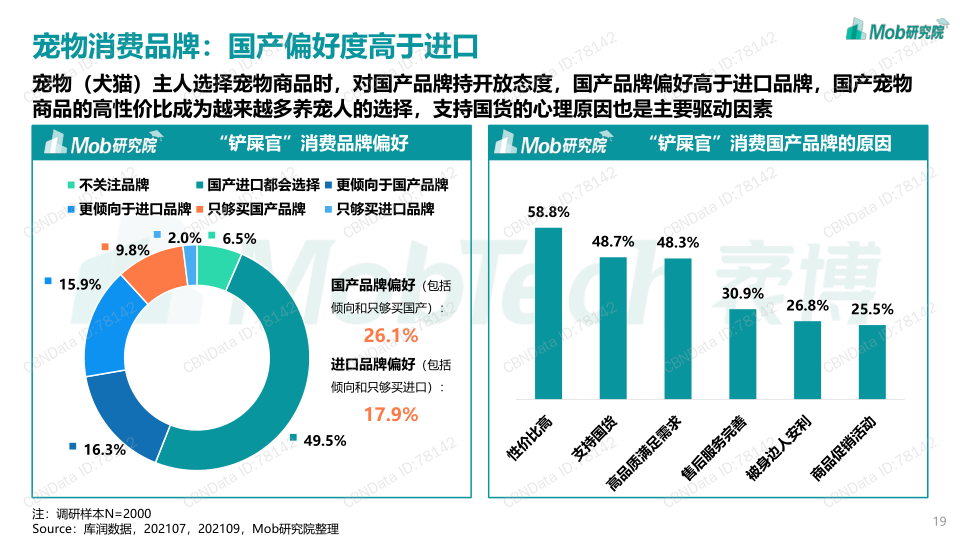 报告页面19