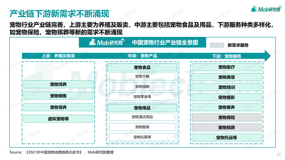 报告页面21