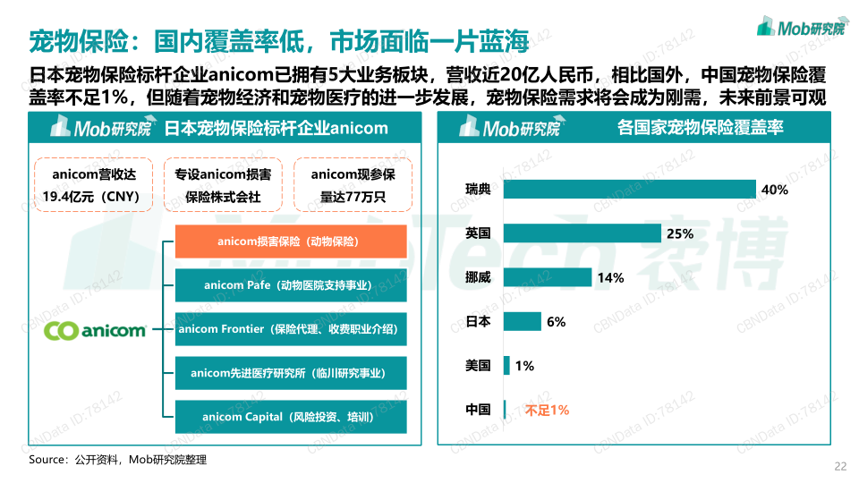 报告页面22