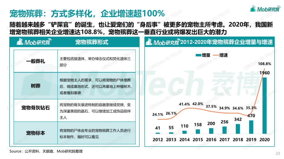 报告页面23