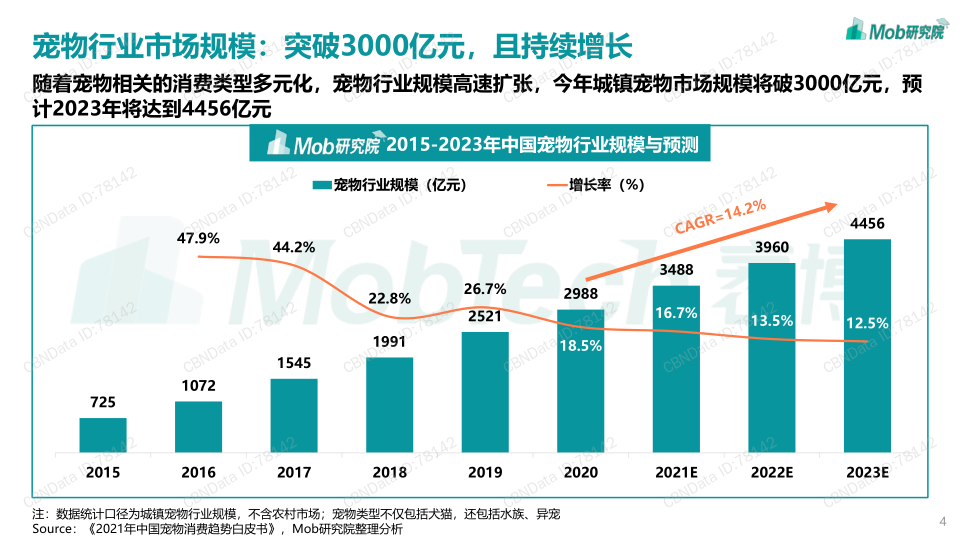 报告页面4