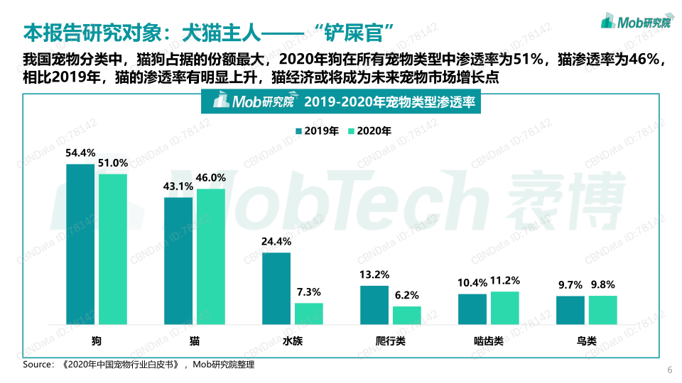 报告页面6