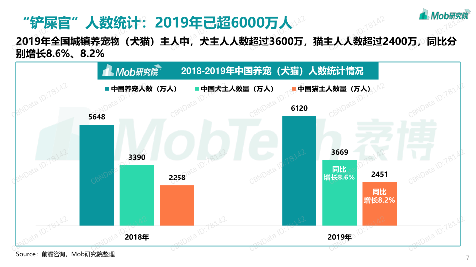 报告页面7