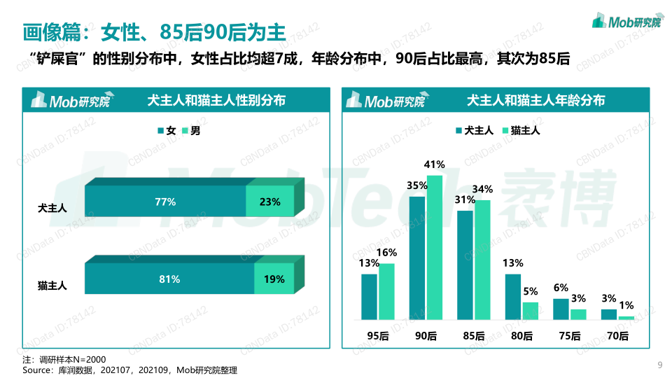 报告页面9