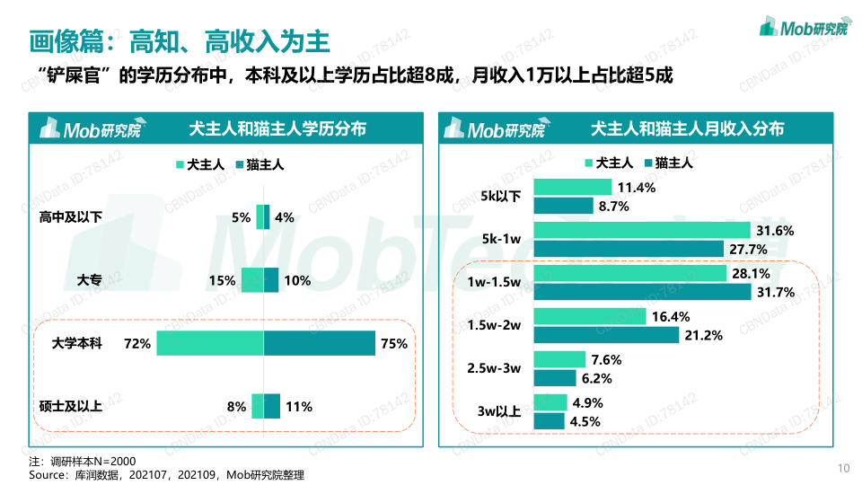 报告页面10