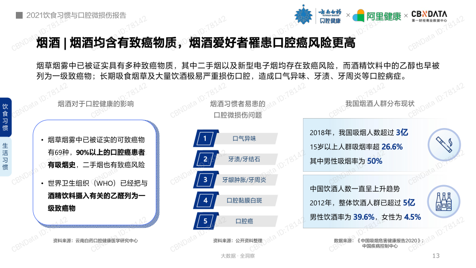 报告页面13