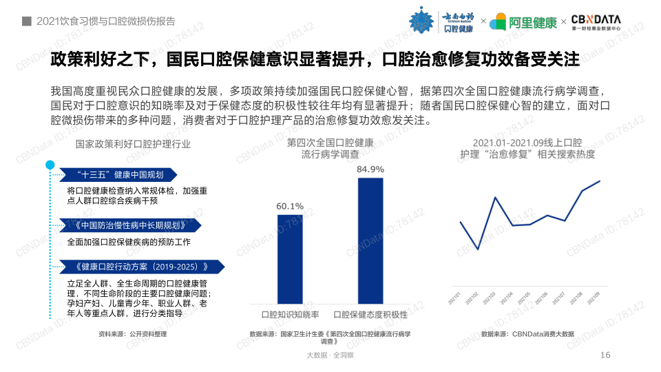 报告页面16