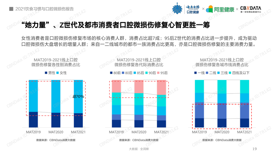 报告页面19