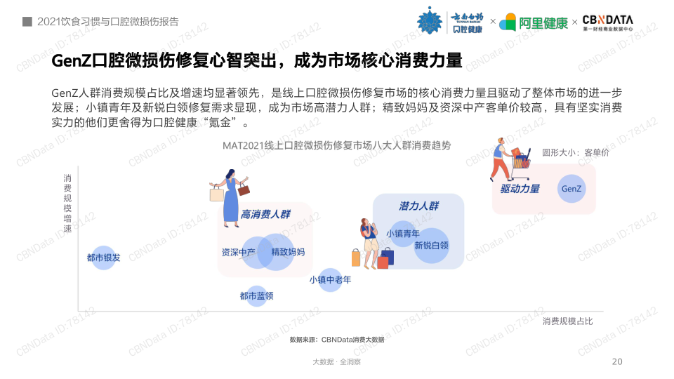 报告页面20