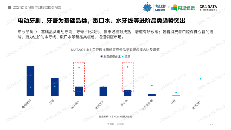 报告页面22