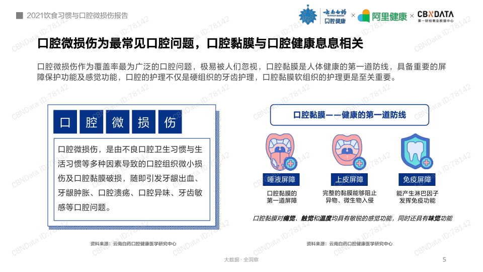 报告页面5