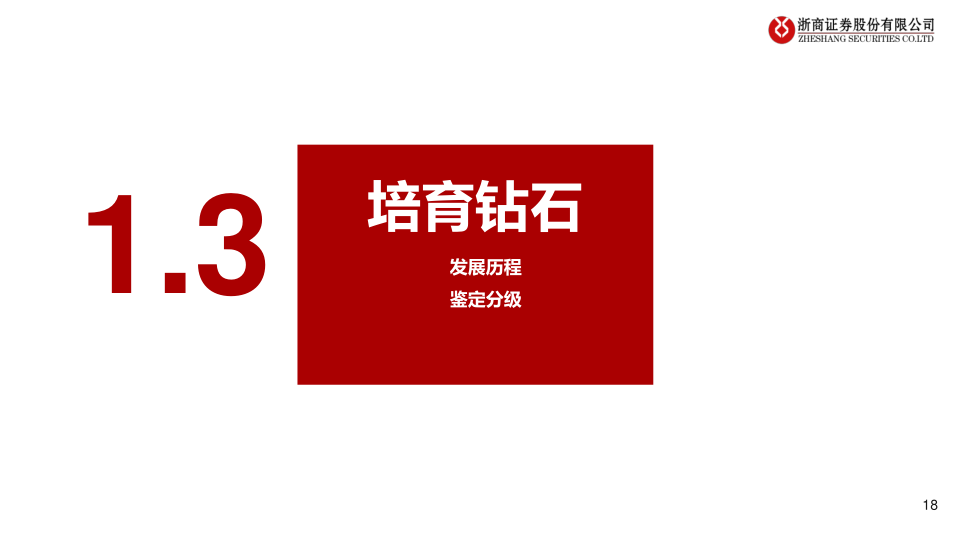 报告页面18