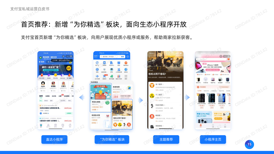 报告页面15