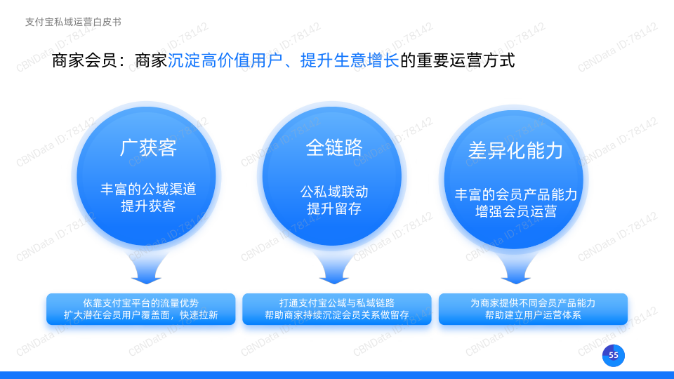 报告页面55