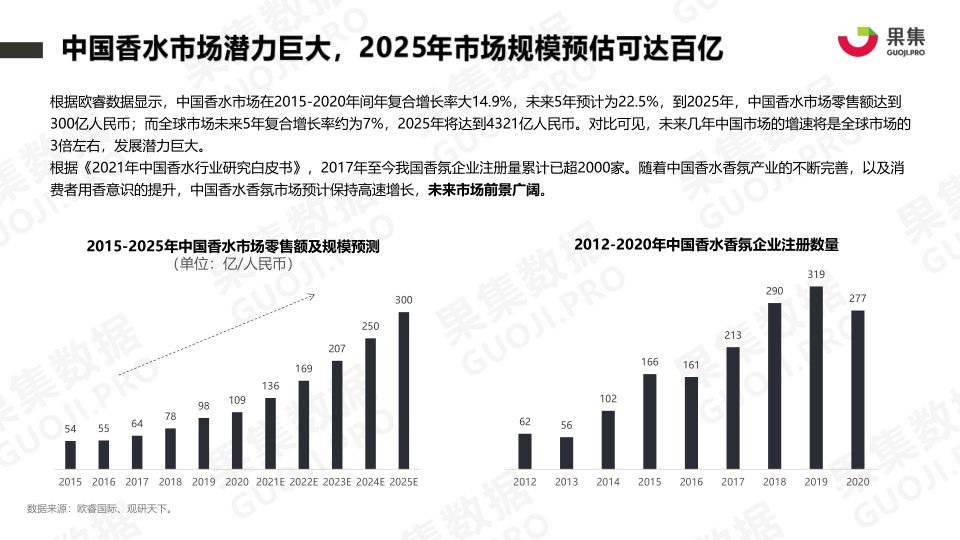 报告页面3