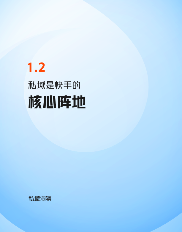 报告页面11