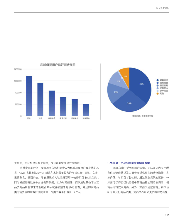 报告页面58