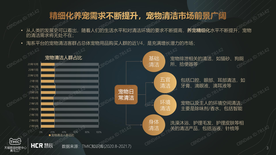 报告页面3