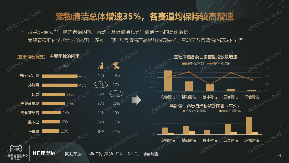 报告页面4