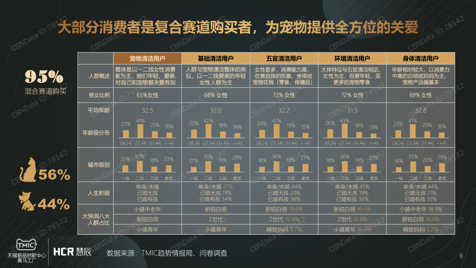 报告页面6