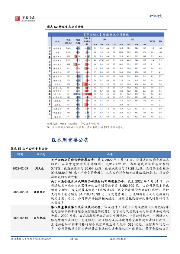 报告页面30