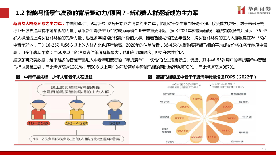 报告页面14