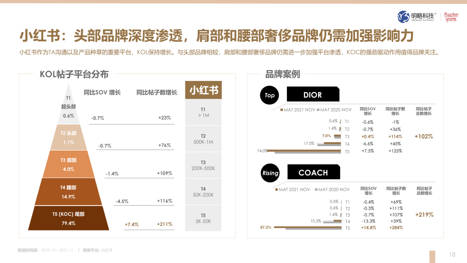 报告页面18