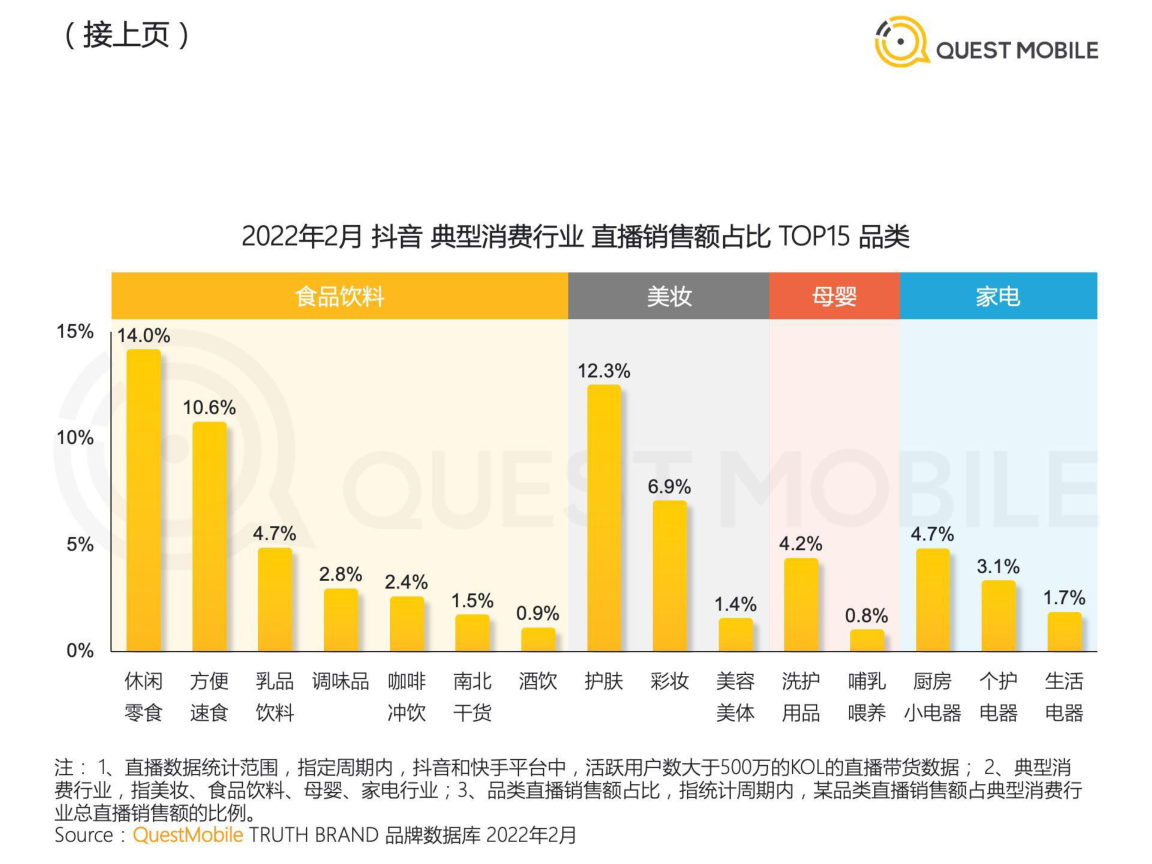 报告页面13