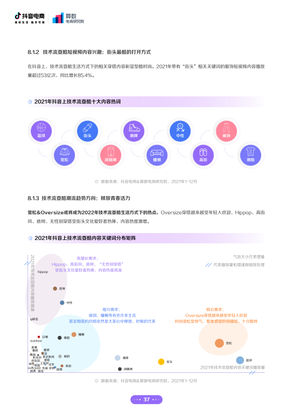 报告页面38