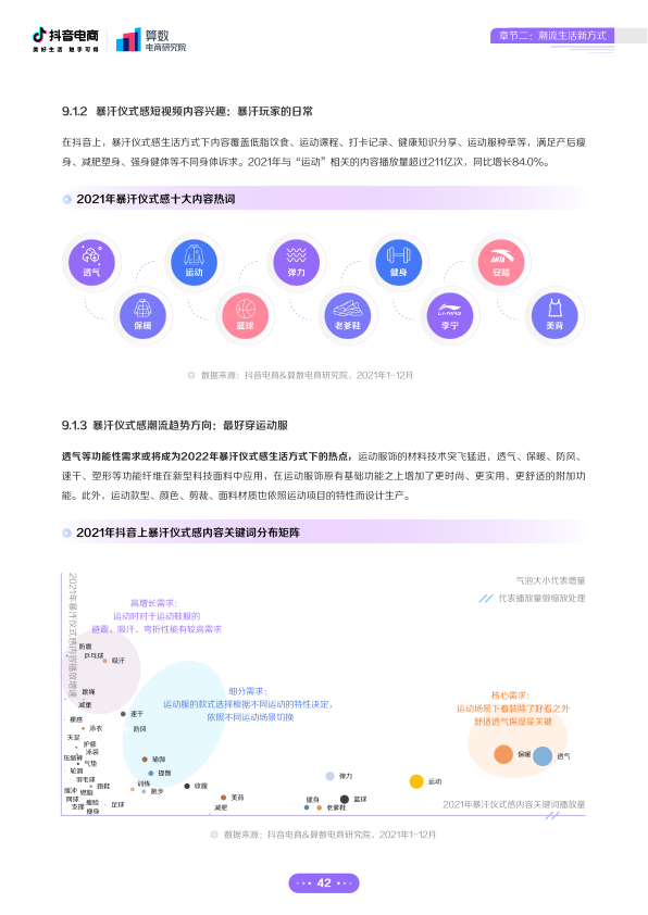 报告页面43