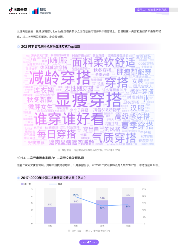 报告页面48