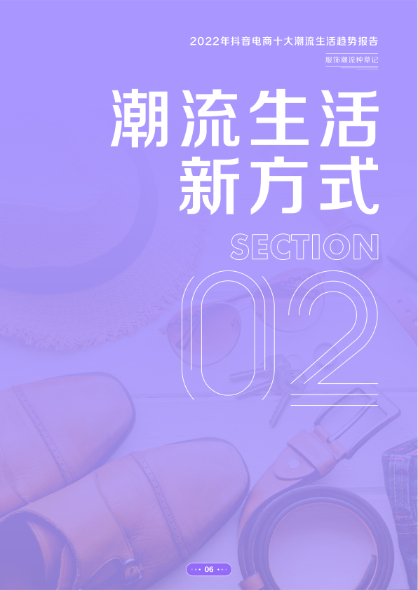 报告页面7