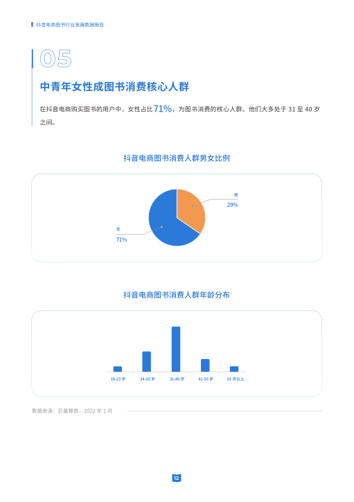 报告页面12