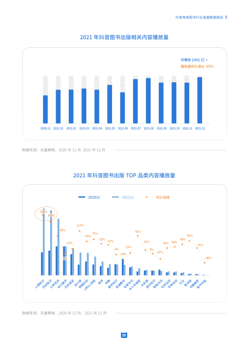 报告页面19