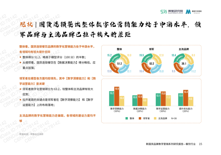 报告页面17