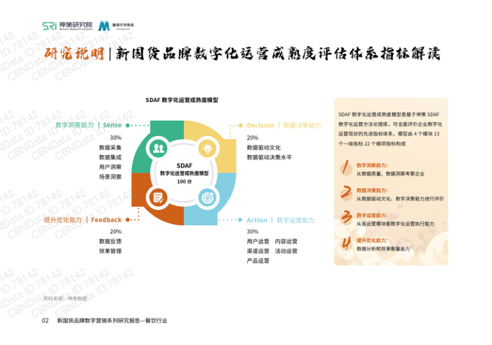 报告页面4