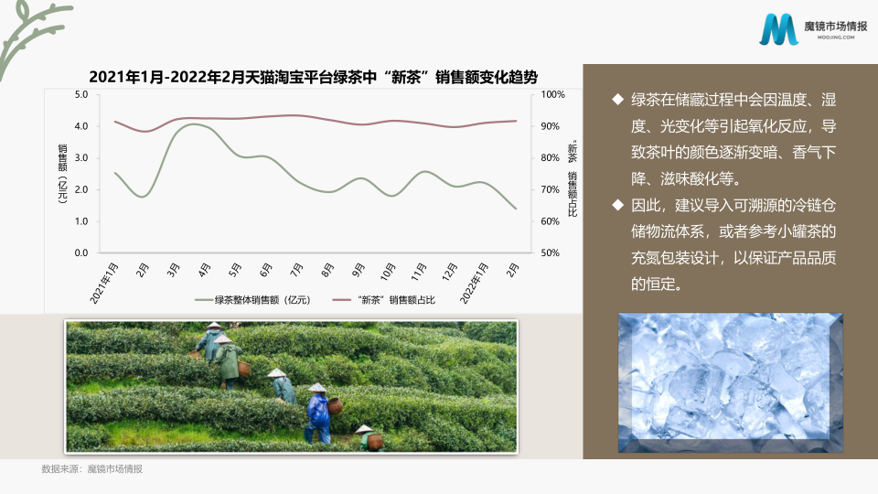 报告页面11